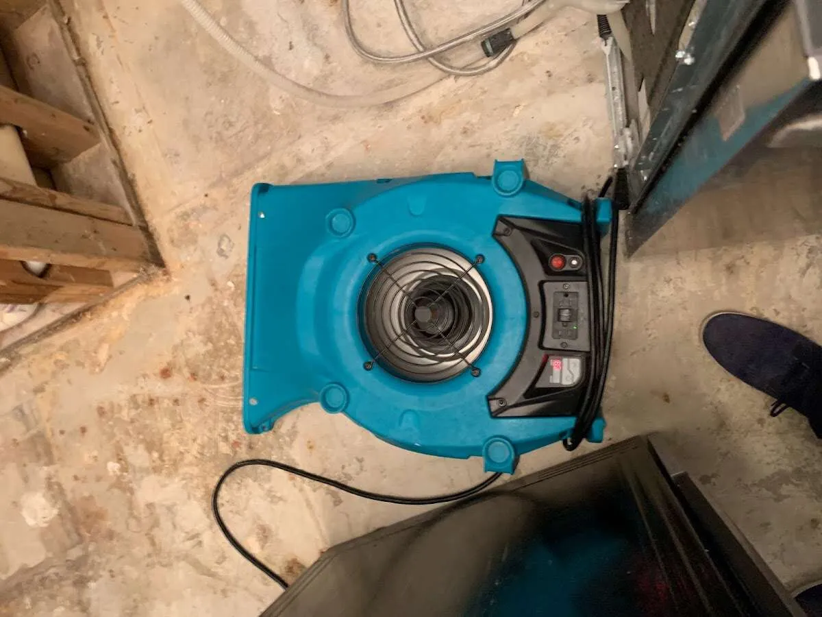 Air mover drying equipment for Mold Remediation & Removal in New Burlington
